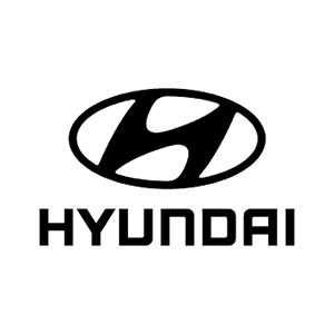 hydunai